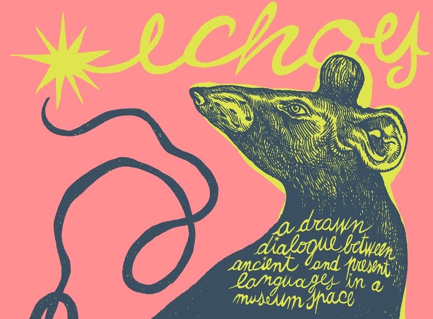 Locandina workshop Accademia - Echoes